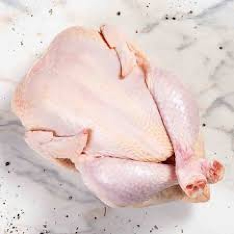 Chicken Brazil from Brazil